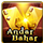 Andar Bahar game icon
